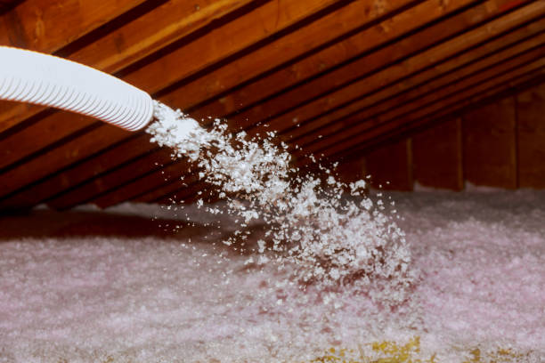 Best Cellulose Insulation in South Taft, CA