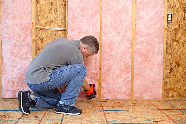 Best Fiberglass Insulation in South Taft, CA