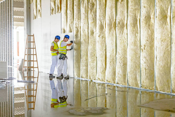 Best Insulation for Specific Applications in South Taft, CA